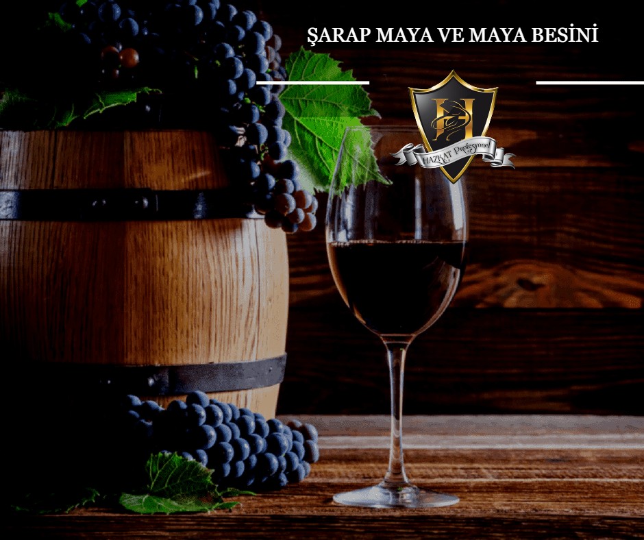 Şarap Mayaları