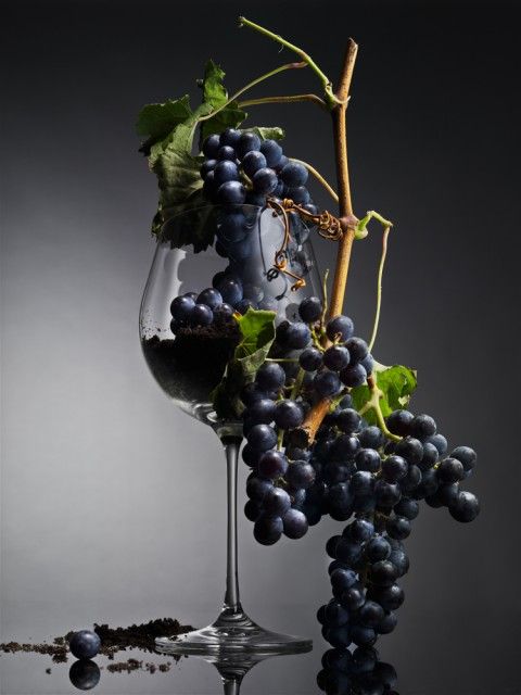 Şarap  İçin Başlangıç Setleri