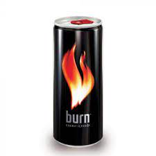 Burn Enerji İçeceği  250 ml 