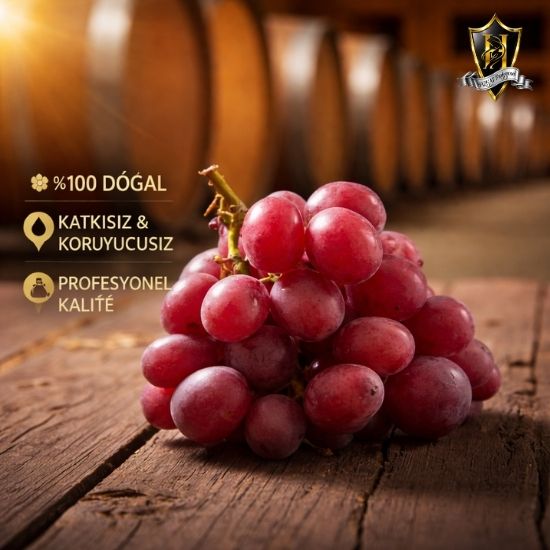 Merlot Üzüm Konsantresi Kit 5lt