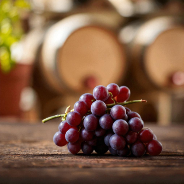 Merlot Üzüm Özü 2.5 LT