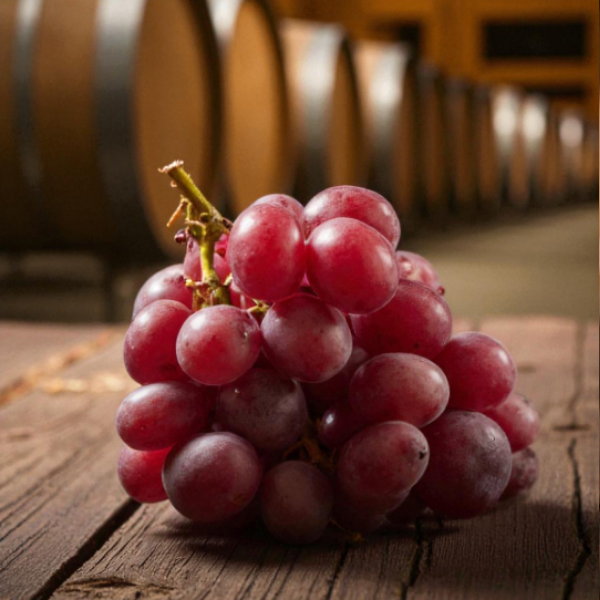 Merlot Üzüm Suyu Konsantresi 5lt